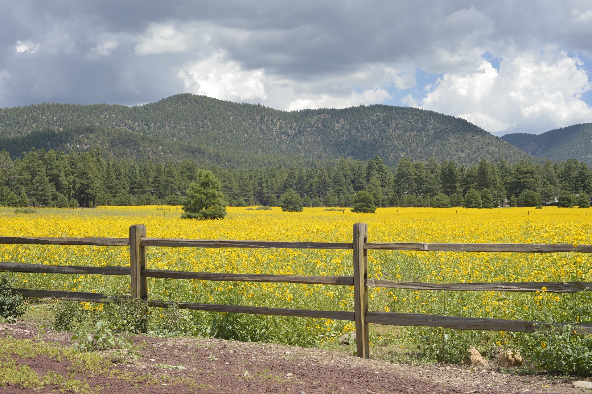 Flagstaff, AZ